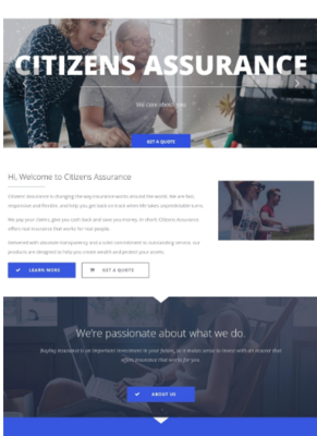 citizenassurance.PNG