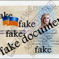 lenochka konfetochka copy of passport