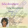 normal florence morgan fake passport