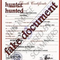normal justina mujuru Death certificate