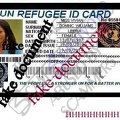 normal vivian williams My refugee id card 