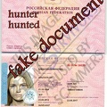 olga71rabbit passport