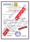 DEATH CERTIFICATE-page0001