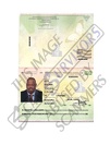 Williams Passport opt