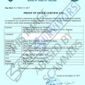 Proof of Stock Certificate