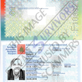 fakepassport2.PNG