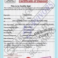 Certificate of Deposit.JPG