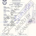 Birth Certificate.jpg