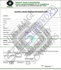 Account - Online Transfer Processing Form