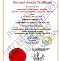 Contract Award Certificate for Eric    Chang