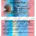 Fake ID card.JPG
