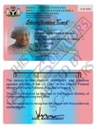 Fake ID card