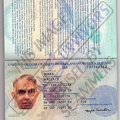 Wallace Jones Passport.JPG