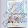 Colin James Ellard Passport