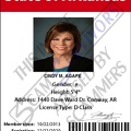 Fake ID Cindy M Agape