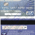 Fake Visa Card