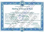 Fake diploma - license
