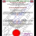 Fake Fund Ownership Certificate.JPG