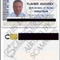 Fake Flavier Agassey ID