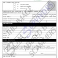 Fake Payment Verification form