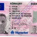 Fake Peter Strom ID.JPG