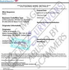 Fake Outgoing Wire Details