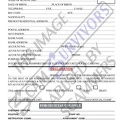 Fake Application Transfer Form