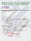 Fake Commercial Invoice