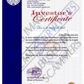 Fake Investors Certificate