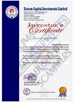Fake Investors Certificate