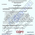 Business Registration License