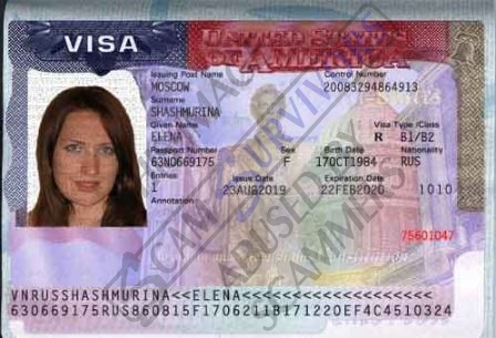 Fake ID Elena Shashmurina.JPG