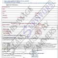 Fake Payment Processing Form