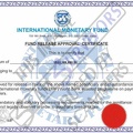 Fake Fund Release Approval Certificate