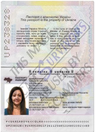 Fake Passport.JPG