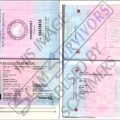 David E Steele fake passport