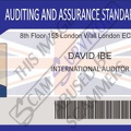Fake ID David Ibe