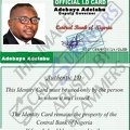 Fake ID Adebayo Adelabu