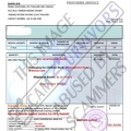 Fake Invoice Prang Chaichuen