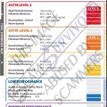 Stolen ASTM Level chart