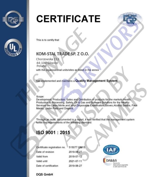 Fake Certification DQS.JPG