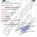 Fake Invoice Globico Group p2.JPG