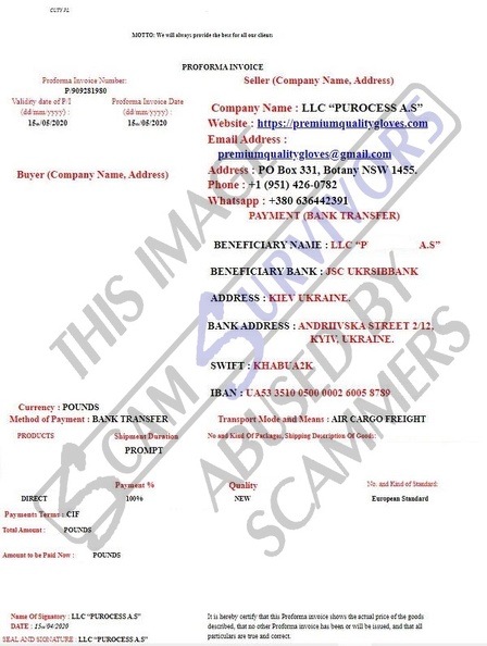 Fake Invoice LLC P. A.S..JPG