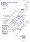 Fake Invoice Woodex Company