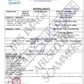 Fake Invoice 2 Our Health Your Health