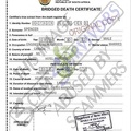 Fake Bridged Death Certificate