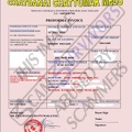 Fake Invoice Chatdanai Chattumak