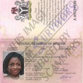 Fake Pasport Abike Dabiri.JPG