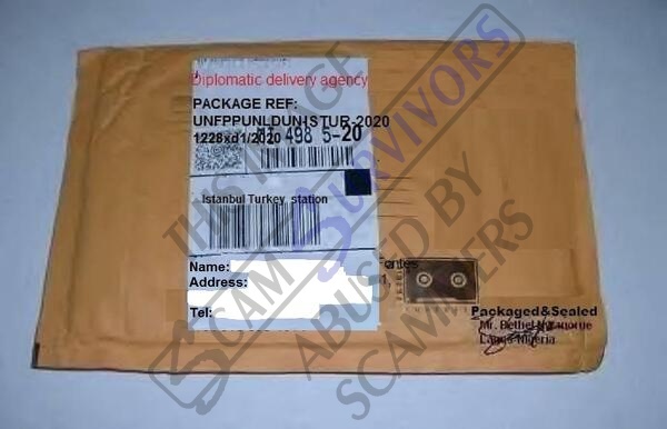 Fake Package.JPG