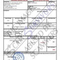 Fake Invoice